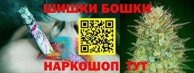 индика Пушкино