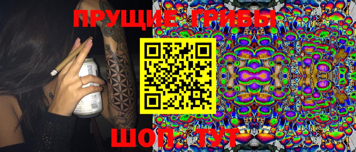купить закладку  Галлюциногенные грибы Cubensis  Вход с VPN  Саянск 