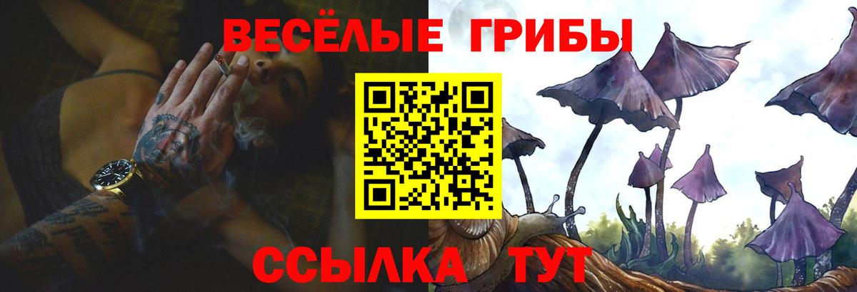 Псилоцибиновые грибы Cubensis Саянск